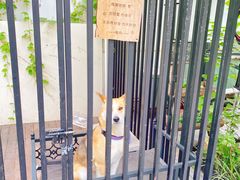 -阿兹凯乐·老洋房西餐
