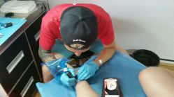 android_upload_pic-Black Tattoo Studio