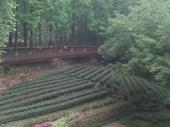 -拾溪餐厅·包厢(杭州千禧度假酒店)