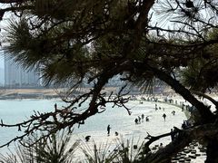 -在海一方公园