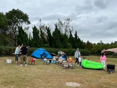 -春花秋色城市公园