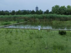 -永定河休闲森林公园