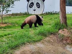 -杭州野生动物世界