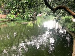 -晓港公园