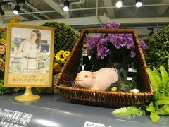 -超级物种(省府店)