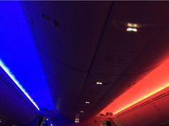 -全日本空输株式会社(上海办事处)