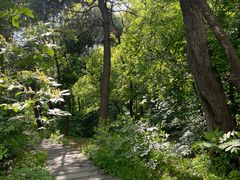 -长春市南湖公园