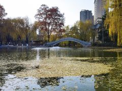 -西安市长乐公园