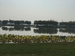 -武清南湖绿博园