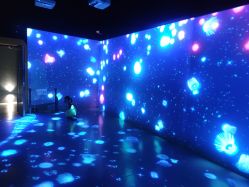 -飞览天下沉浸式飞行体验(北京旗舰店)