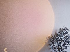 -银座商城(东城店)