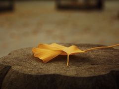 -钱王祠