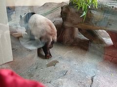 -宁波野生动物园