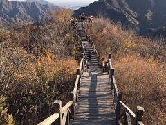 -大岭沟猕猴桃谷风景区
