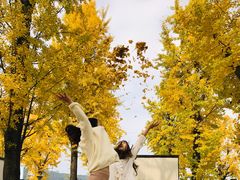 -百林公园-两江幸福广场