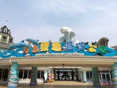 -海合安成都极地海洋公园
