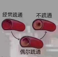 -香薇妮丝女子减肥院