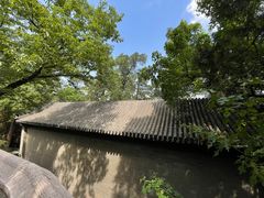-大觉寺-停车场
