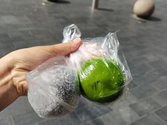 -沈大成(南京东路店)