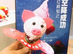 -野人先生现做冰淇淋(西安赛格店)