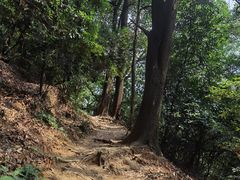 -广州市白云山风景名胜区