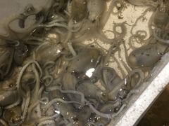 -宁波小海鲜(秀文路店)