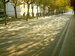 -山东大学(趵突泉校区)