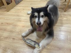 -白兔子密室(长寿路店)