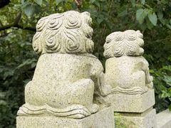 -同里国家湿地公园