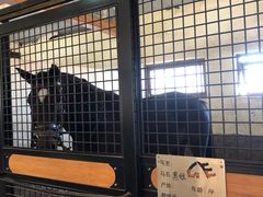 -北京群众马术培训基地