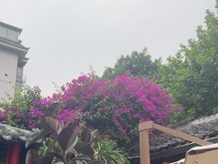 -院8里·少城记忆老川菜(宽窄巷子店)