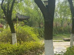 -太子山公园(园东路)