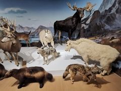 -陕西自然博物馆