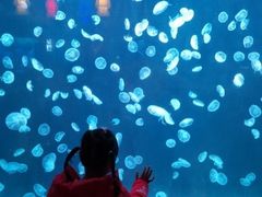 -太平洋海底世界