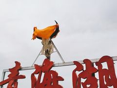 -青海湖国家重点风景名胜区