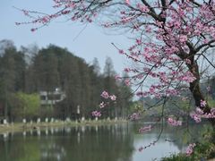 -常德桃花源景区