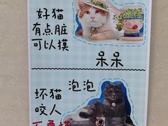 -宠福鑫动物医院(立水桥分院)