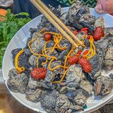 🔥【独家爆料】这家野山菌火锅，竟然这么好吃！
