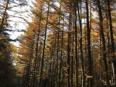 -洛阳白云山景区