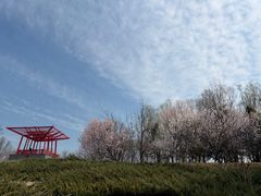-大望京公园