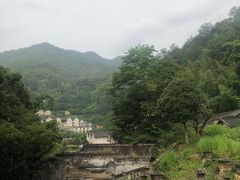 -雁南飞茶田景区