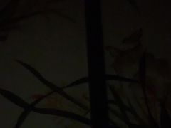 -水润江南尊尚养生馆(城南东路店)