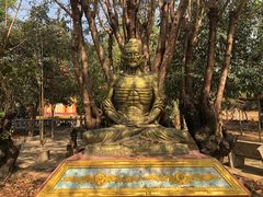 -瑞丽独树成林风景区