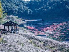 -原乡小镇度假乐园