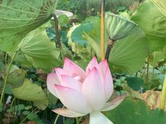 -厦门国家会计学院