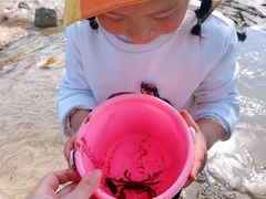 -东海半边山旅游度假区
