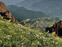 -白草畔自然风景区