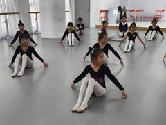 -西安小天鹅艺术团(金花路校区)