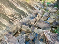 -广州白江湖森林公园