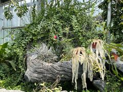-国家植物园